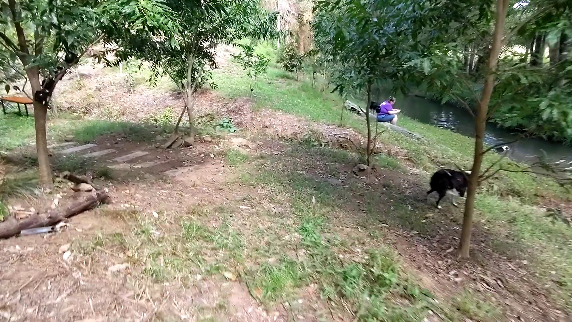 Addi Lane - The Entrance