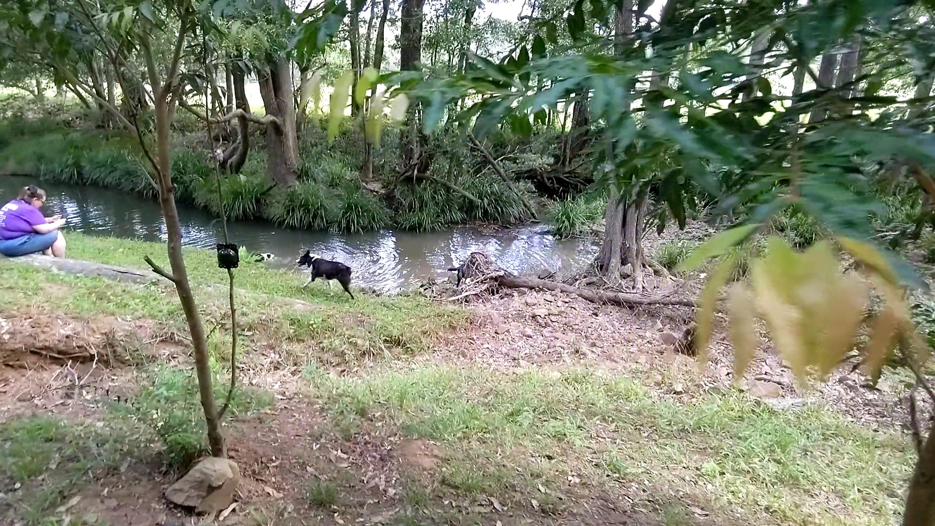 Addi Lane - The Entrance