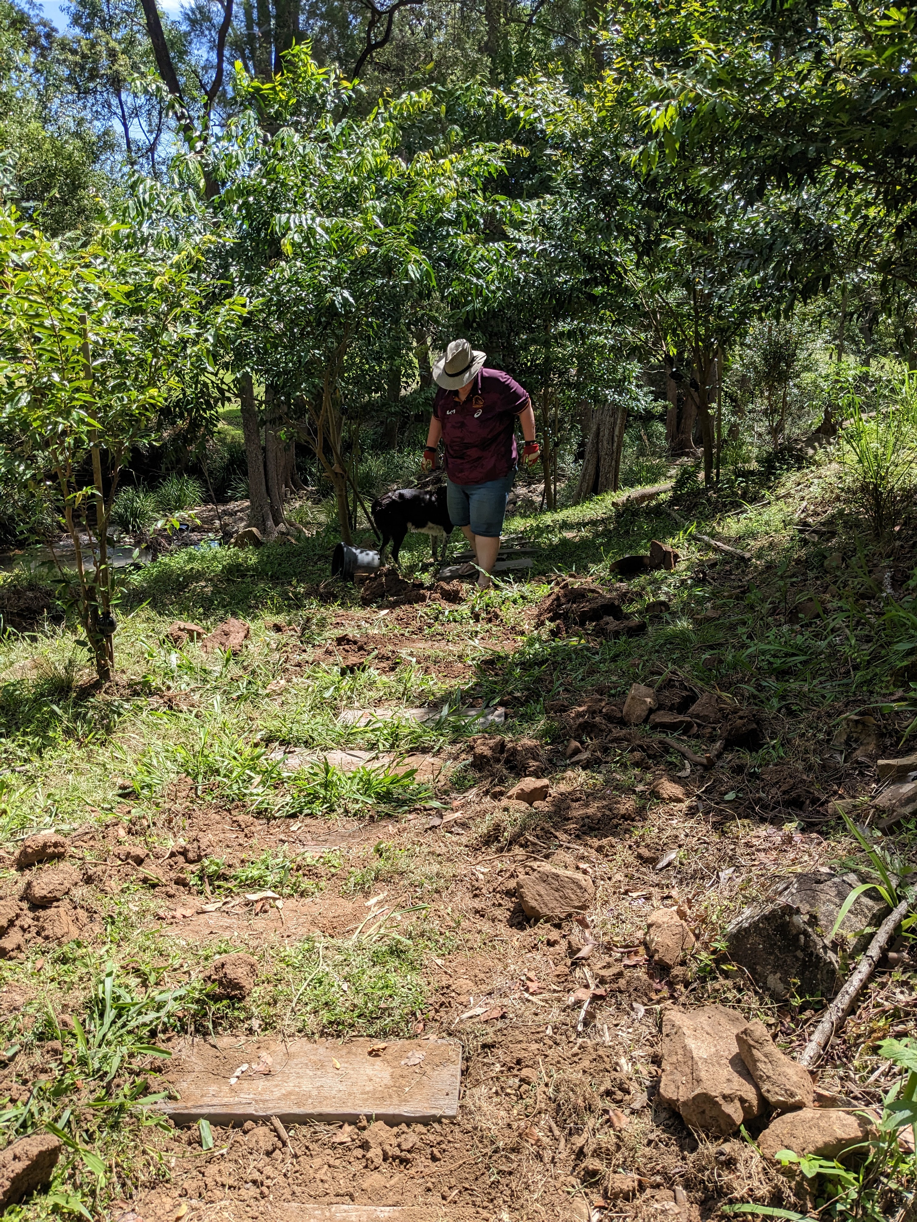 Addi Lane - The Entrance