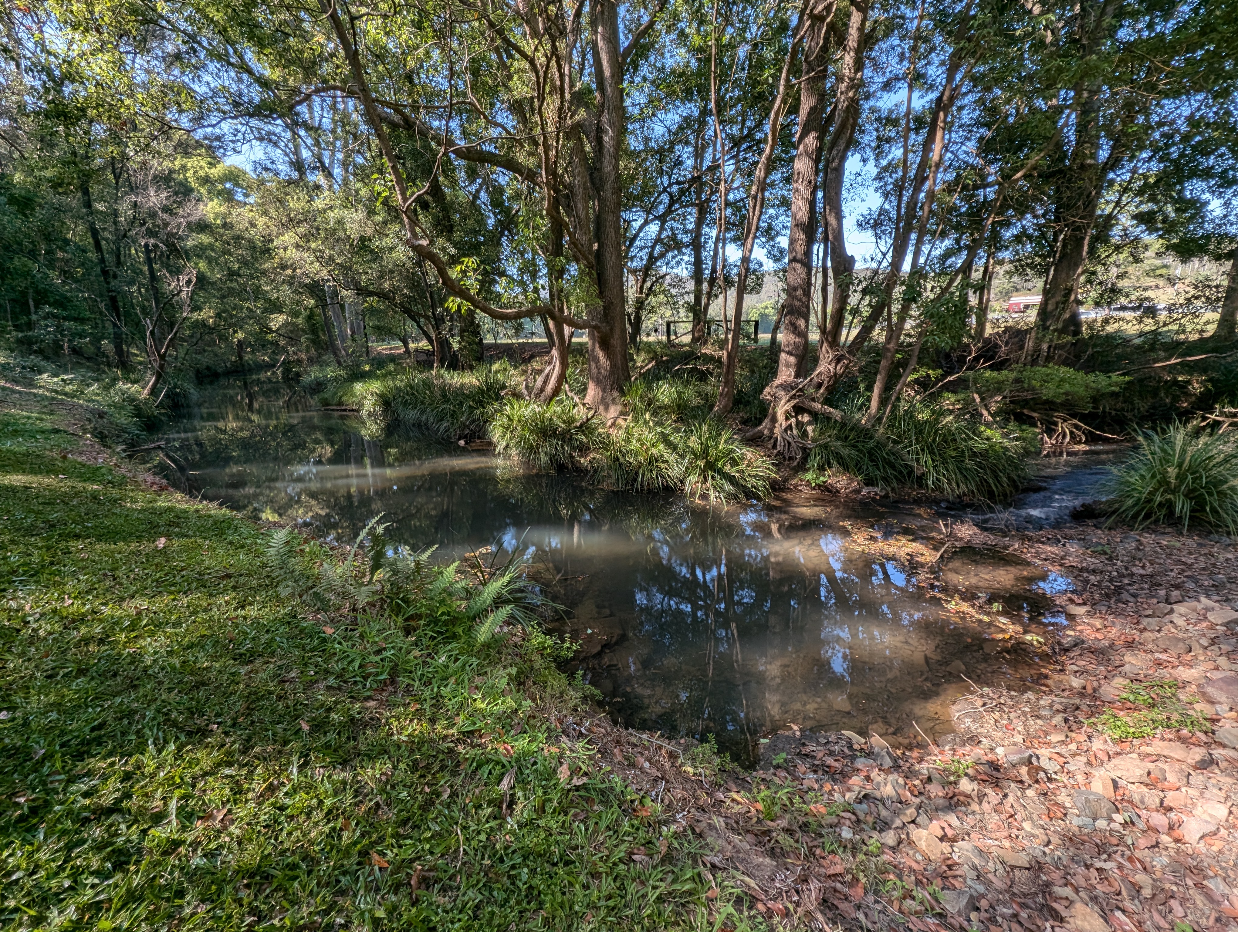 Misty's Watering hole