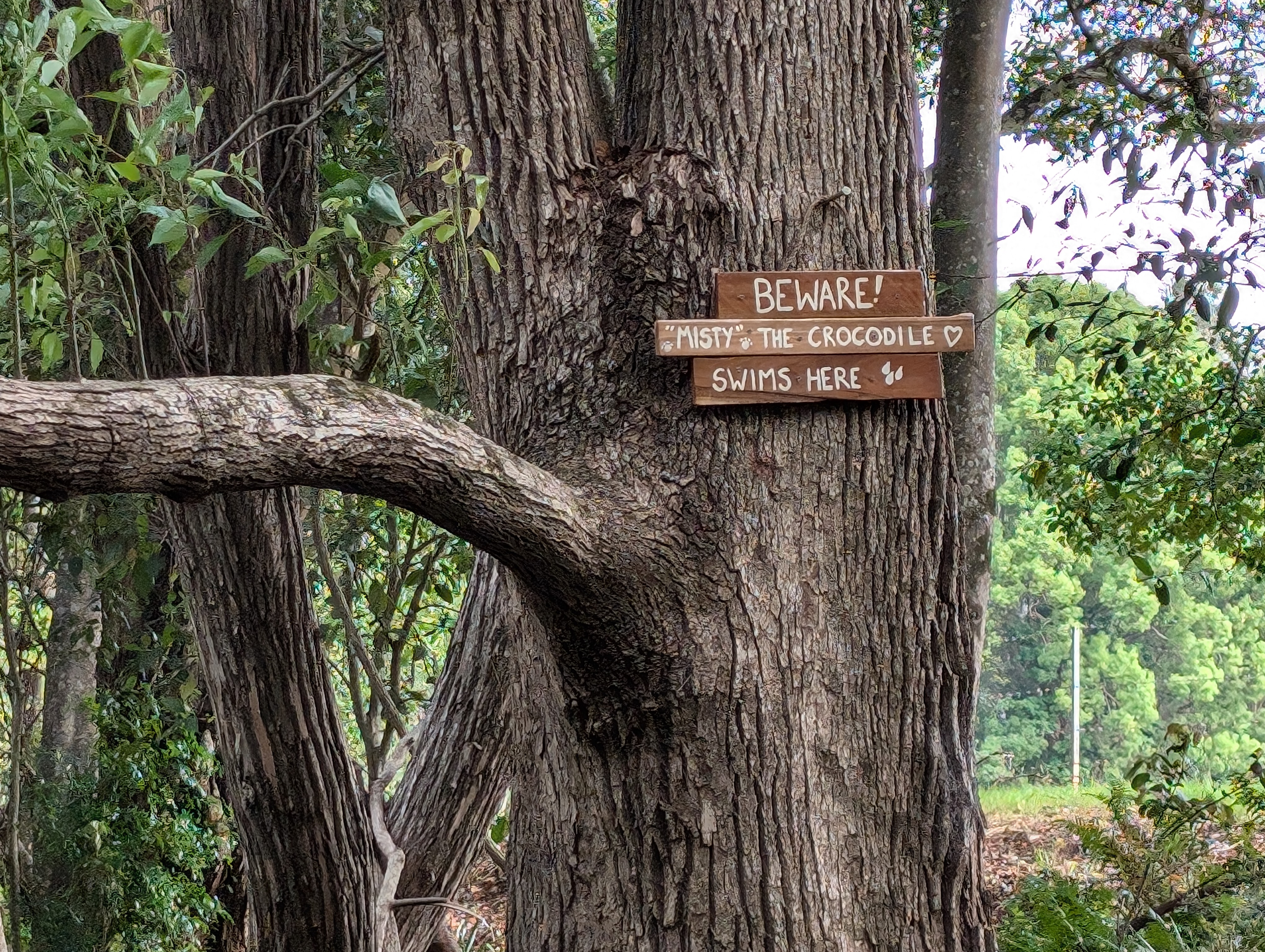 Misty's Watering hole