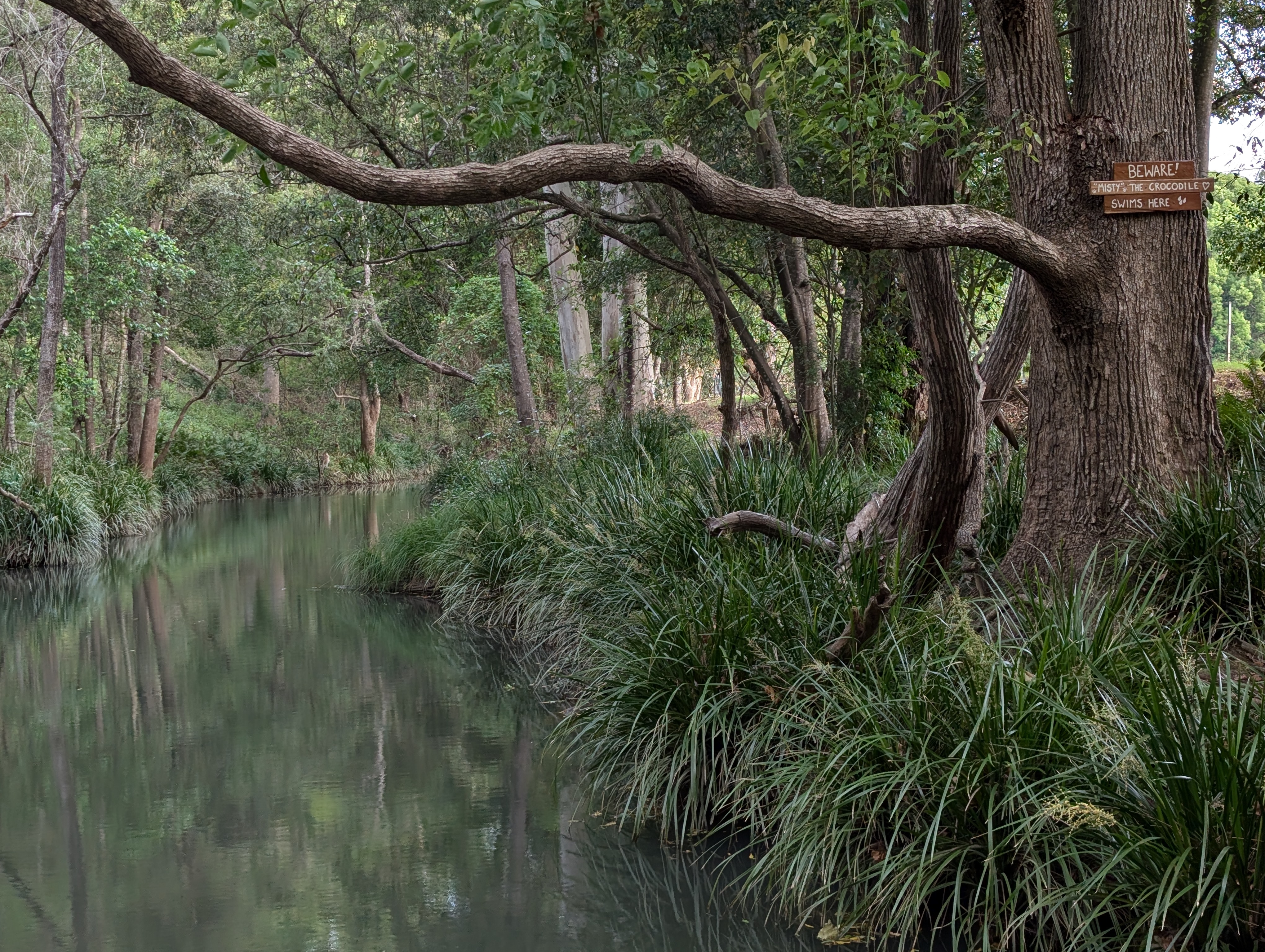 Misty's Watering hole