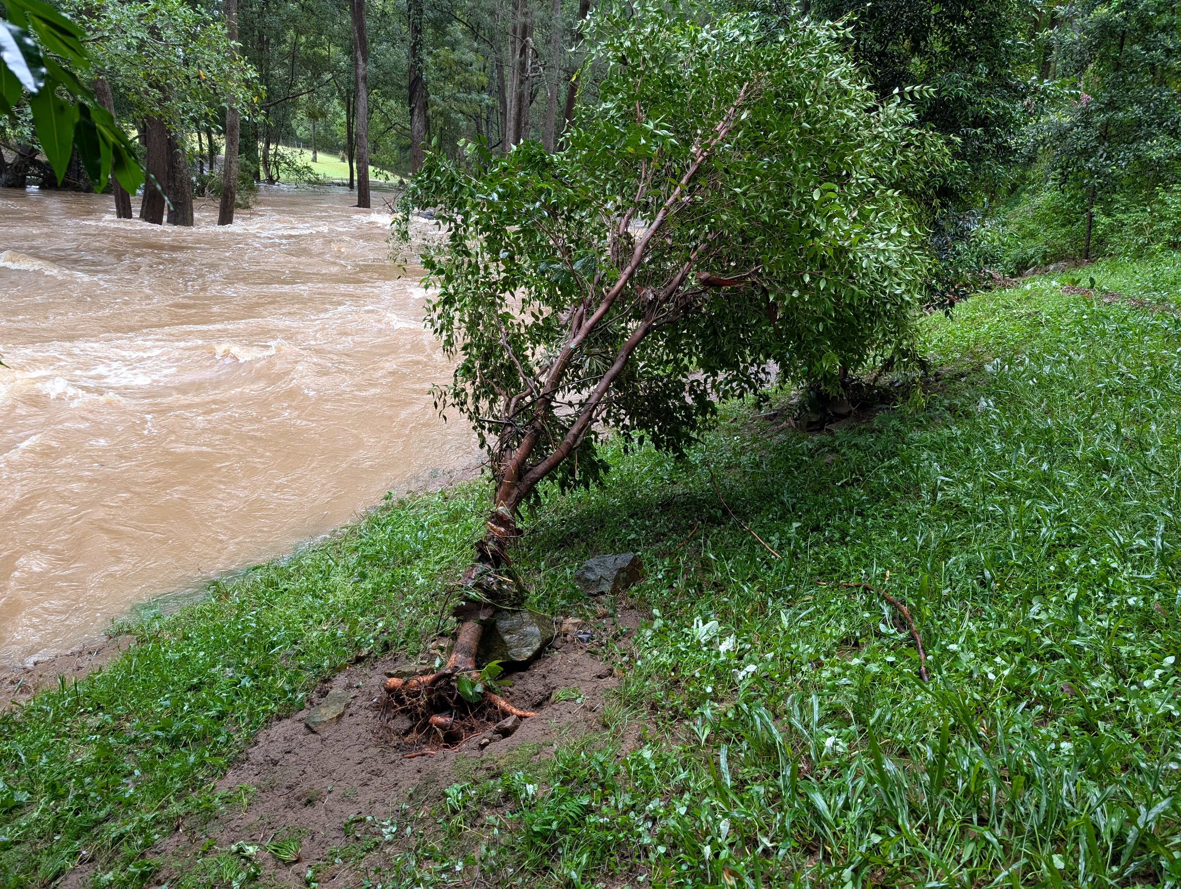 Addi Lane - The Entrance