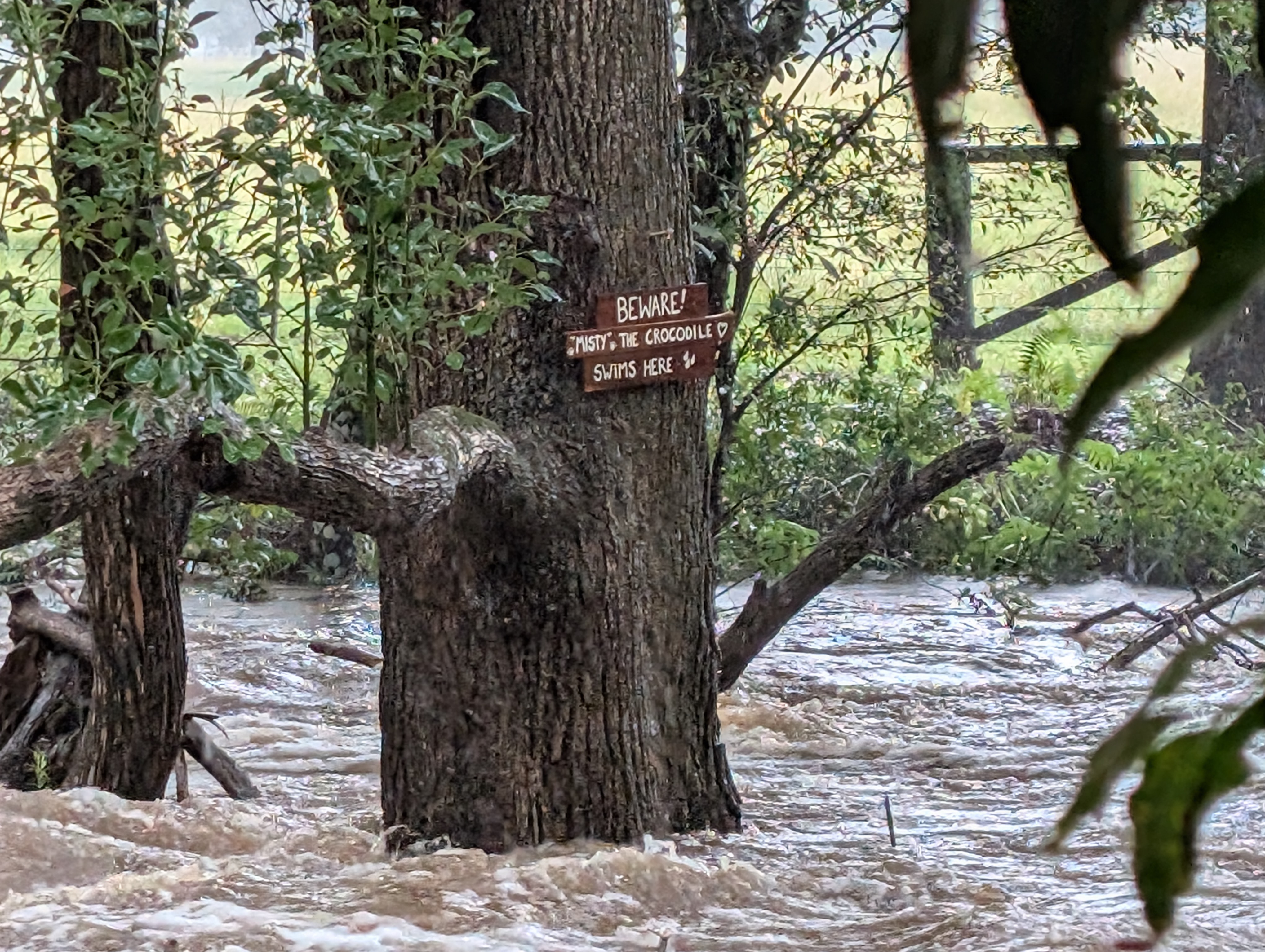 Misty's Watering hole