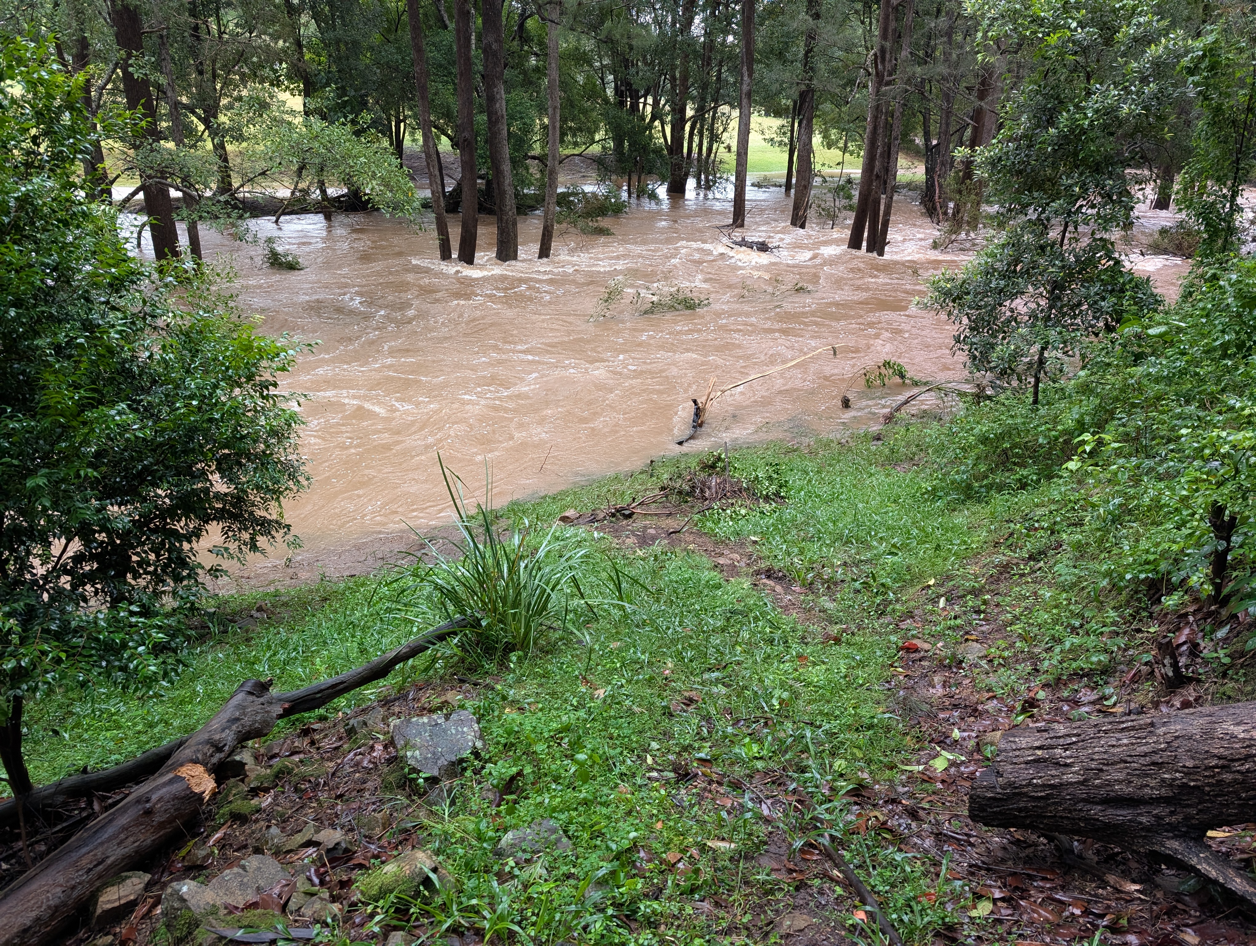 Addi Lane - The Entrance