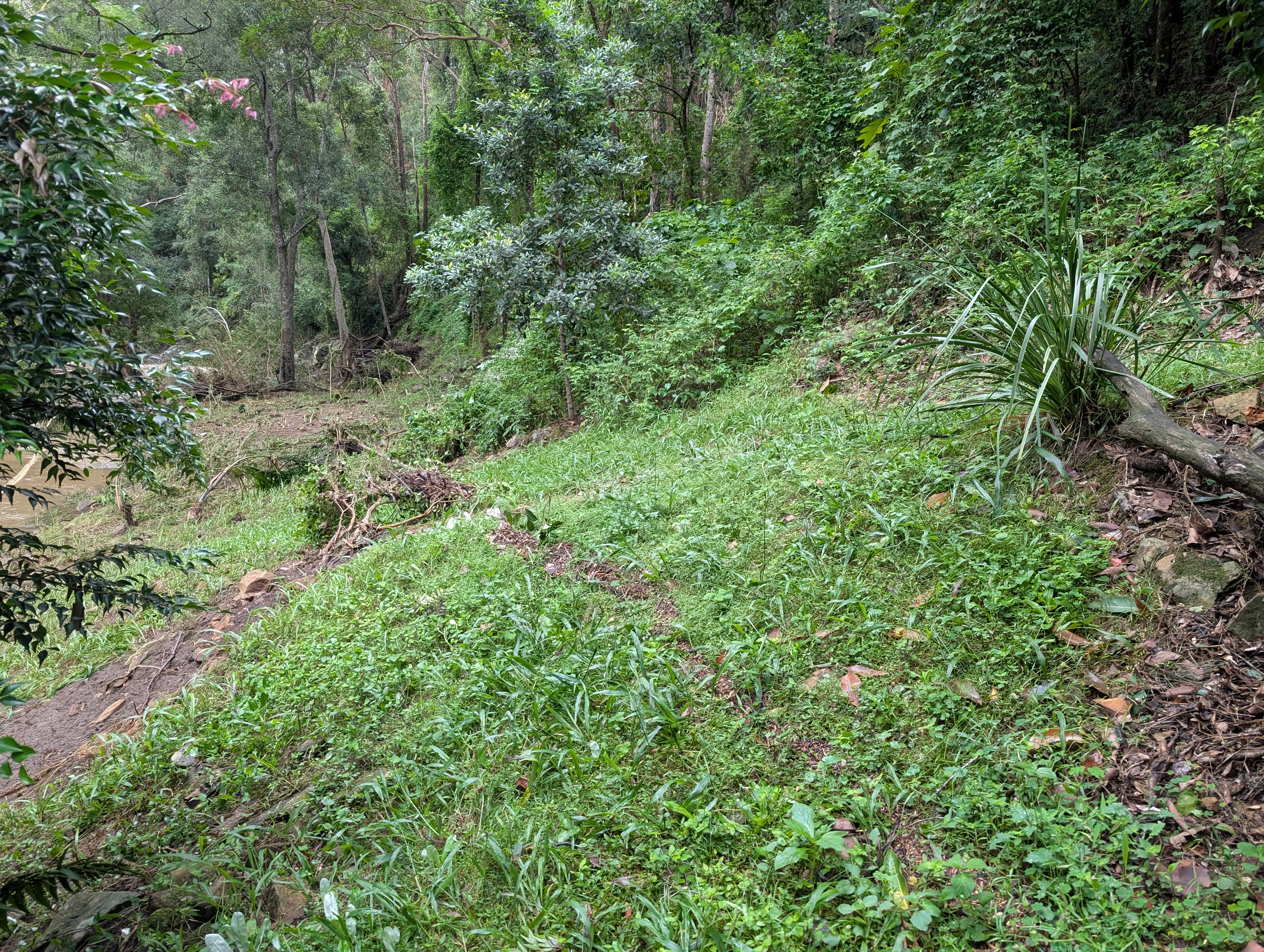 Addi Lane - The Entrance