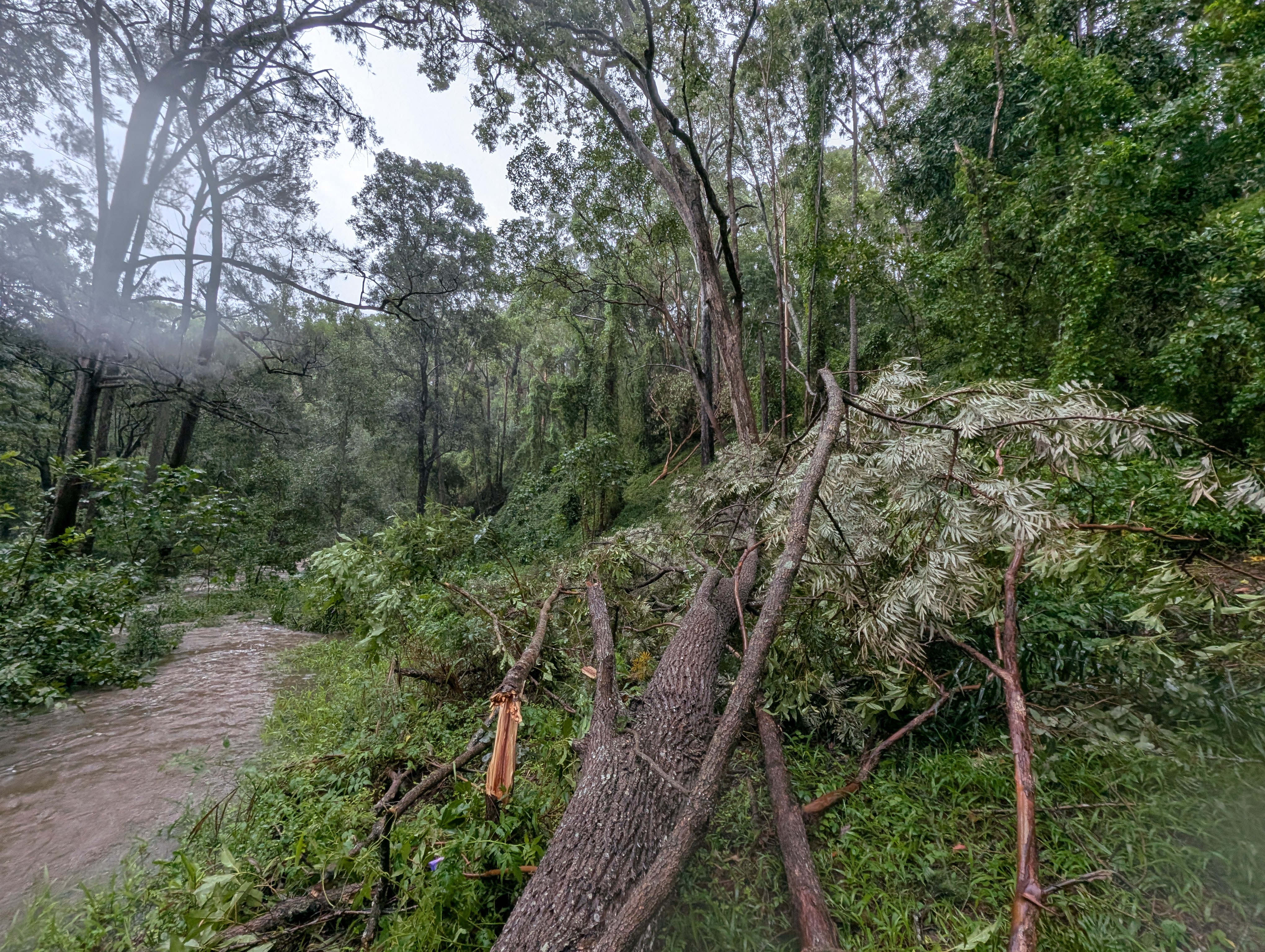 Addi Lane - The Entrance