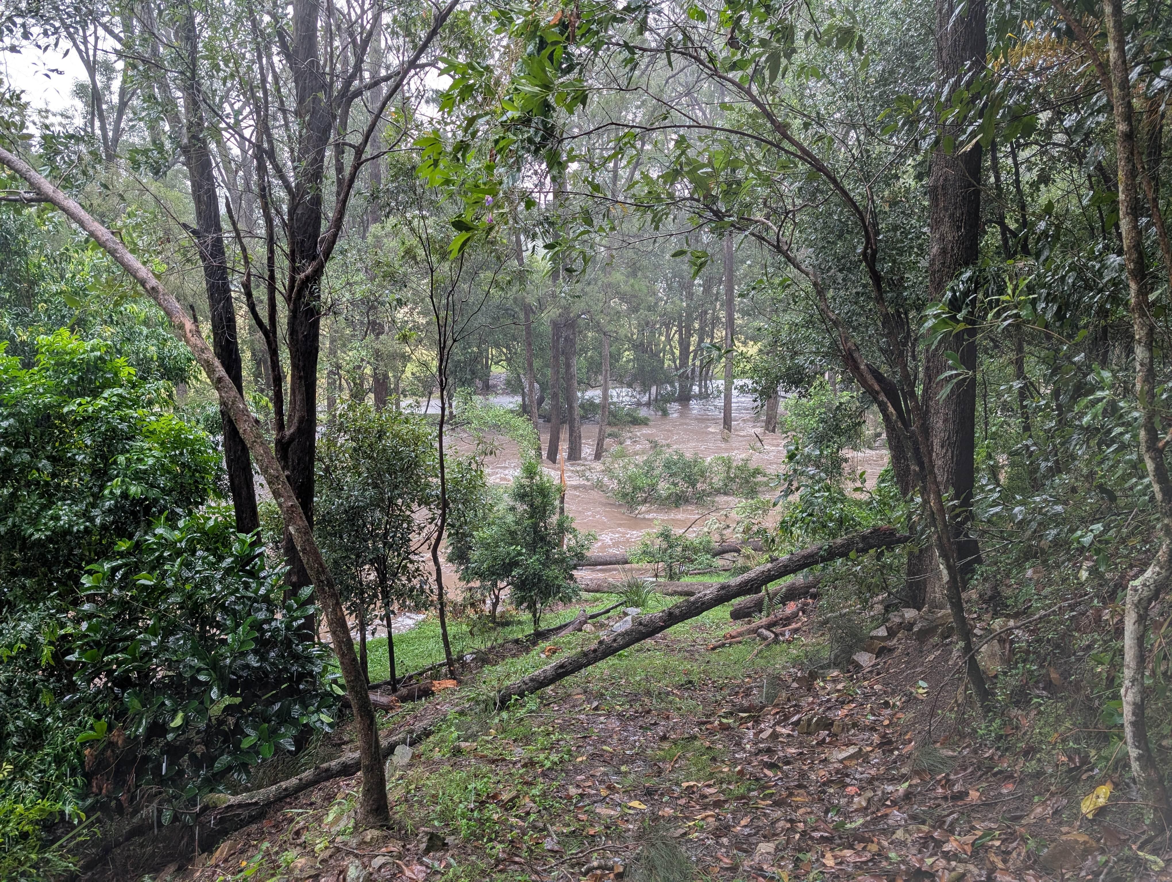 Addi Lane - The Entrance