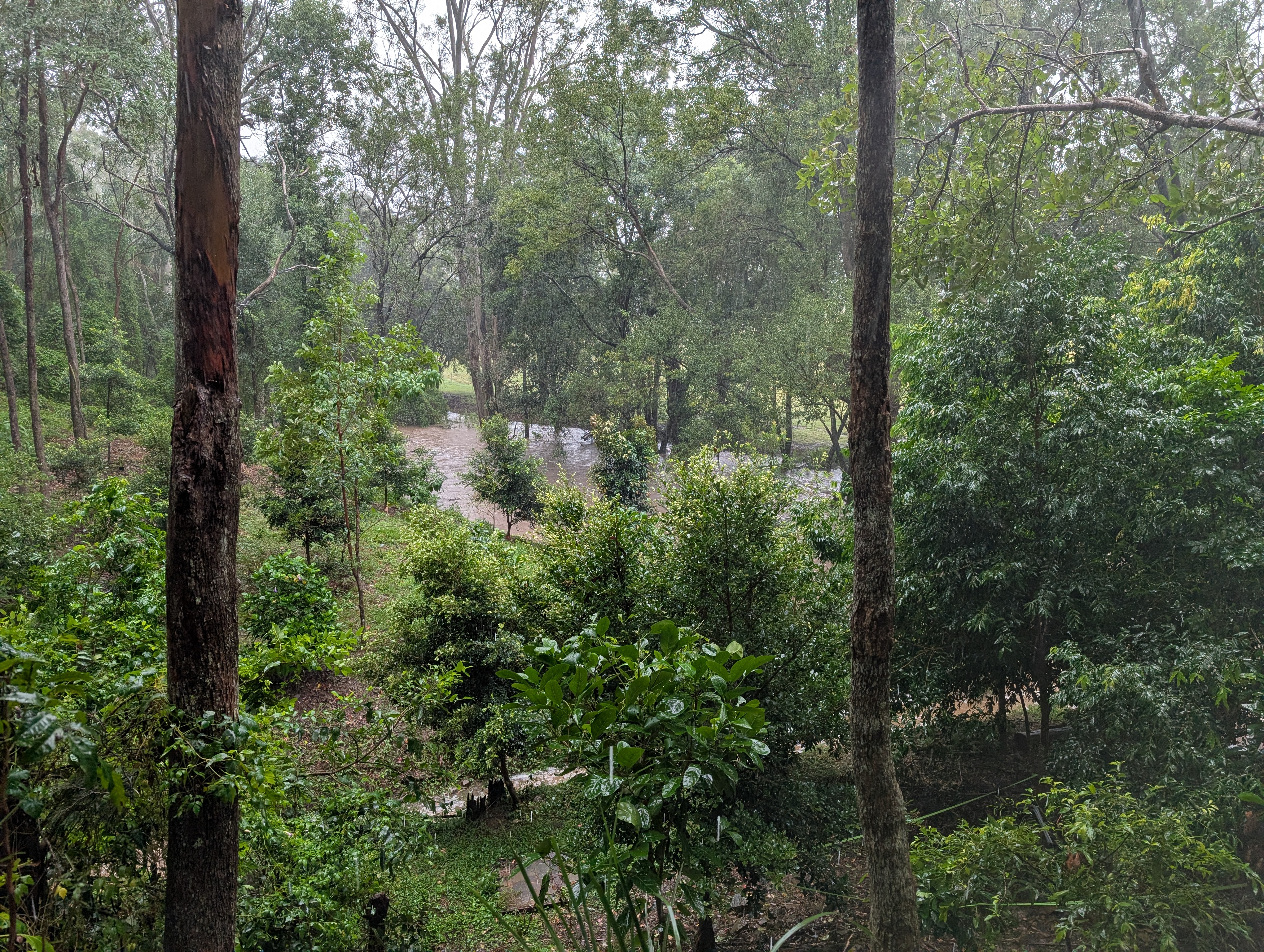 Addi Lane - The Entrance