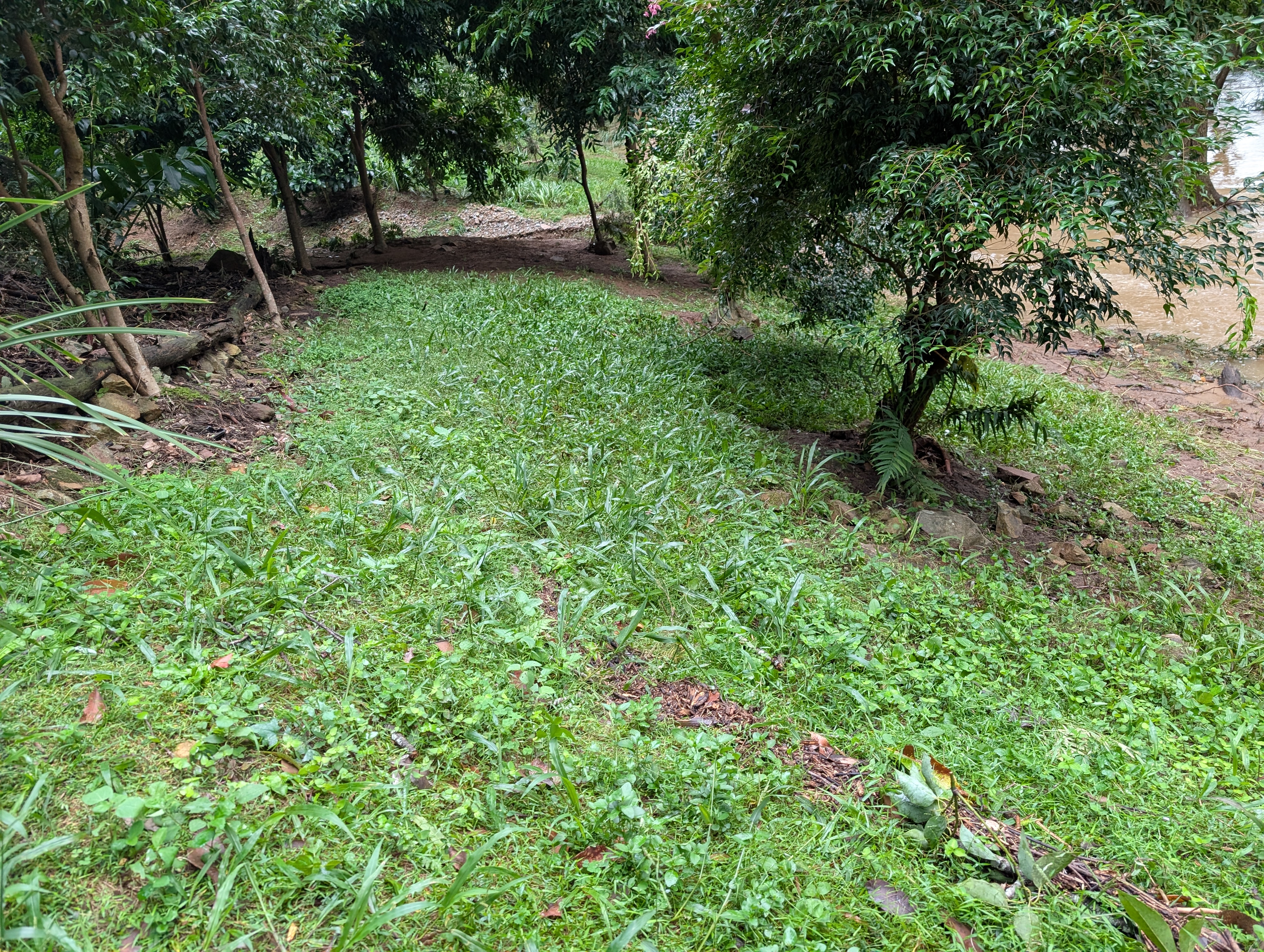 Addi Lane - The Entrance